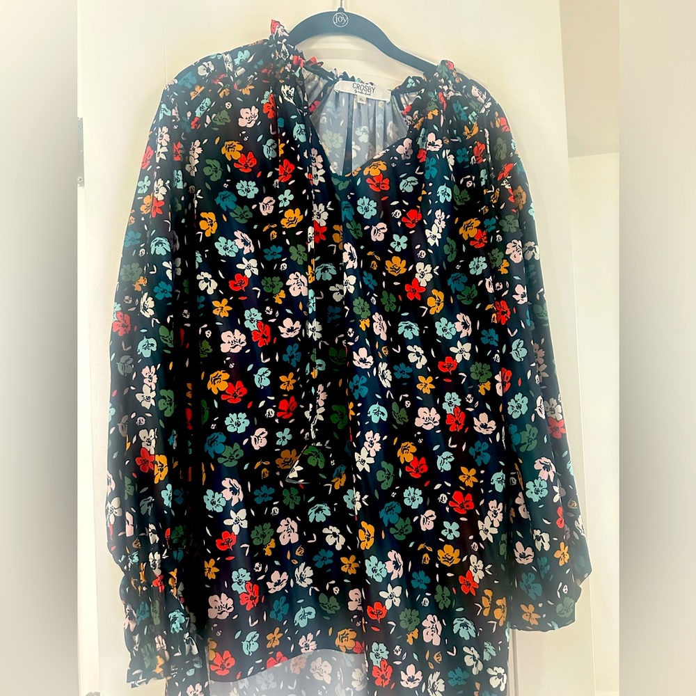 Crosby by Mollie Burch tunic